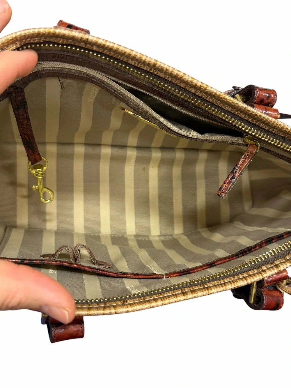 Brahmin structured croc